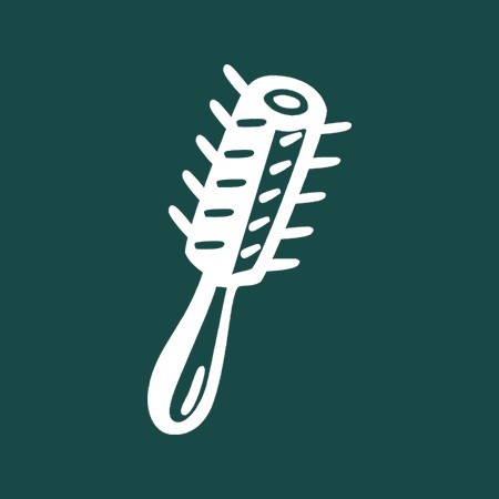 Cepillo para el pelo